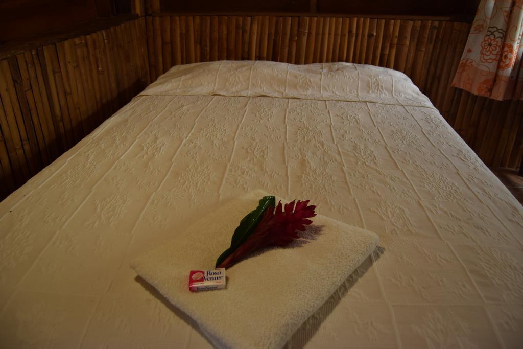 Centro Ecoturistico Cabanas Encantadas Villa Catemaco Exteriör bild
