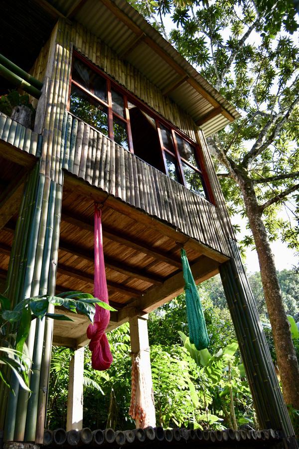 Centro Ecoturistico Cabanas Encantadas Villa Catemaco Exteriör bild