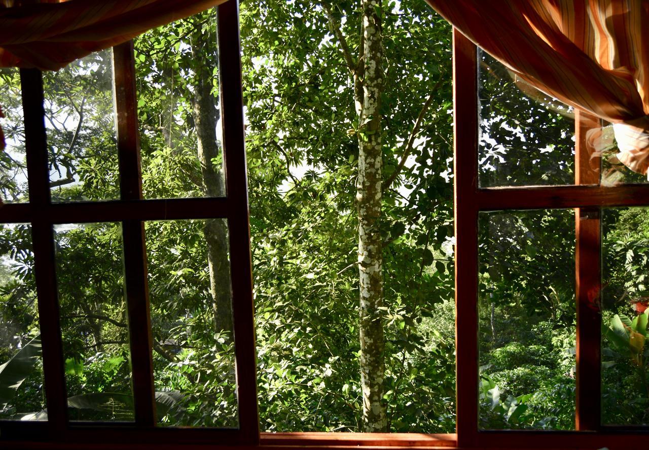 Centro Ecoturistico Cabanas Encantadas Villa Catemaco Exteriör bild