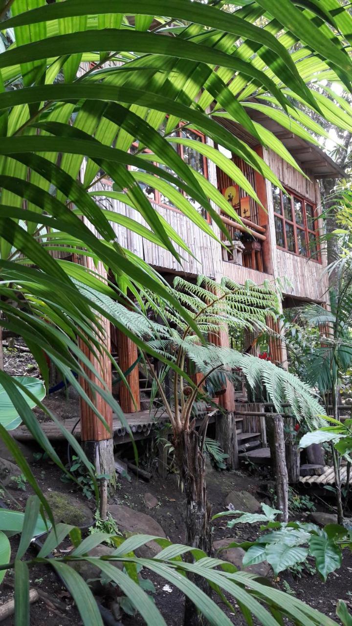 Centro Ecoturistico Cabanas Encantadas Villa Catemaco Exteriör bild